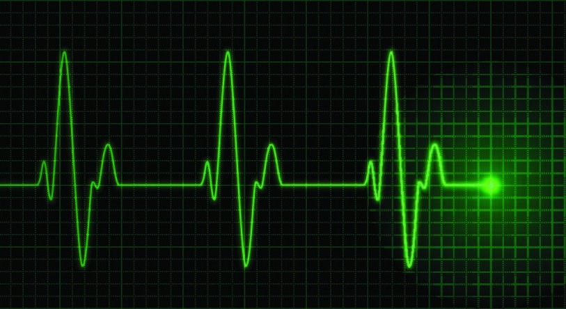 When listeners pay close attention to stories, their heart rates synchronize